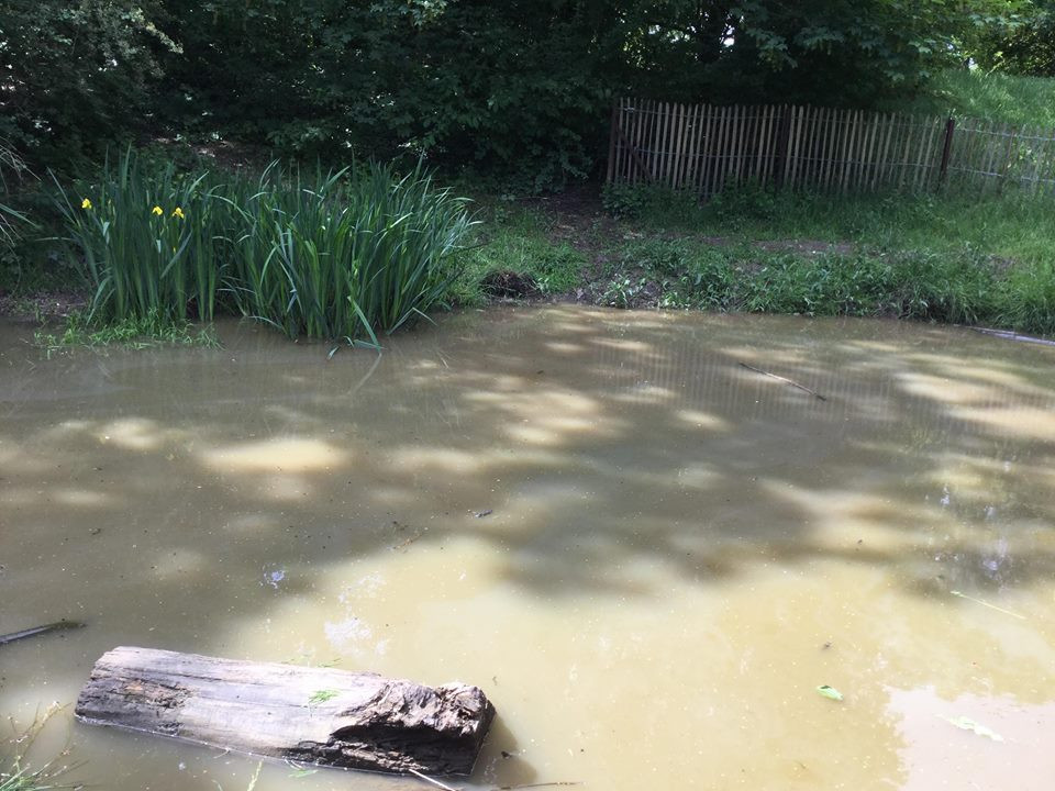 2019-11-Vivre-des-activites-dans-la-nature-001