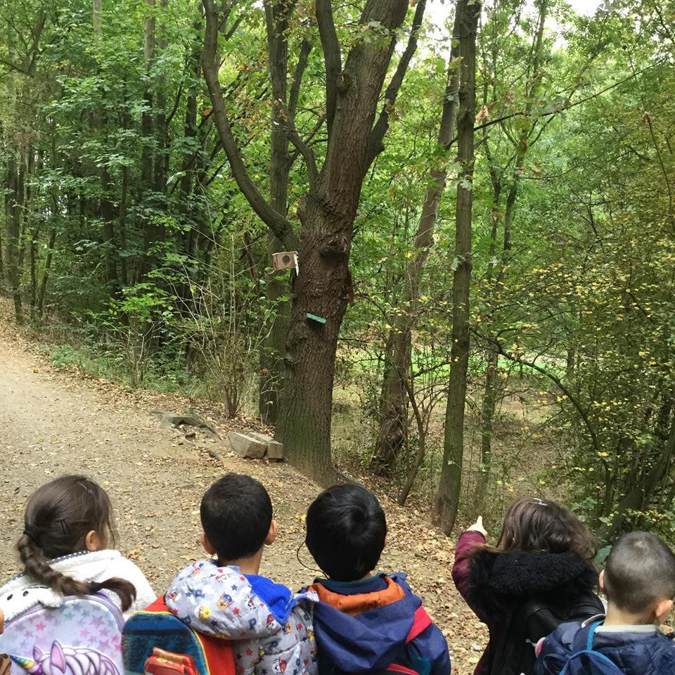 2019-11-Vivre-des-activites-dans-la-nature-005