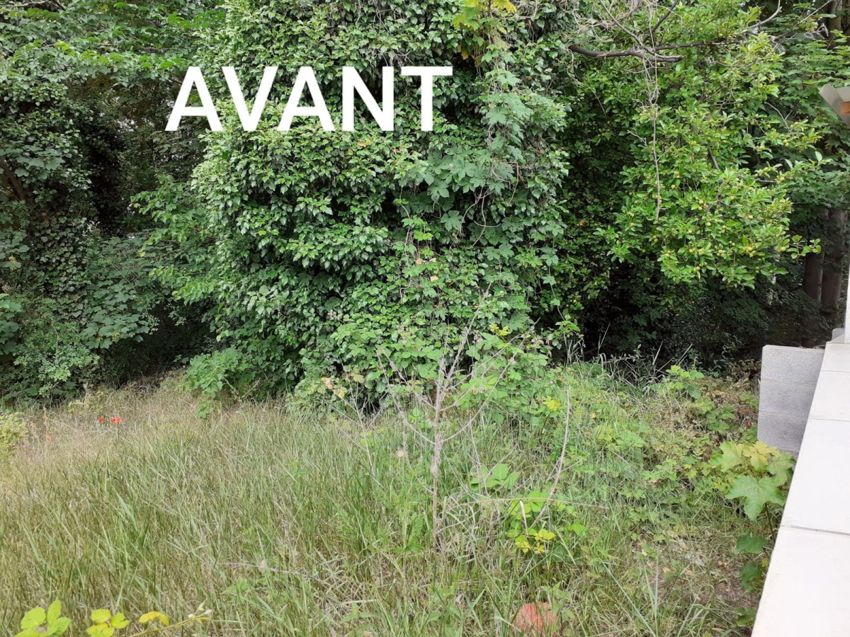 2020-08-Osons-le-vert-005
