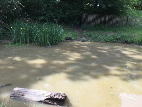 2019-11-Vivre-des-activites-dans-la-nature-001
