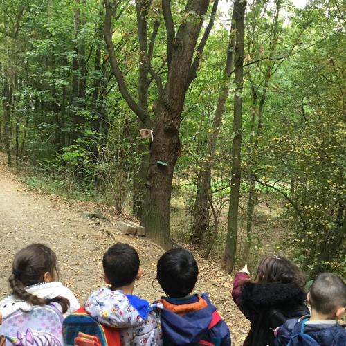 2019-11-Vivre-des-activites-dans-la-nature-005