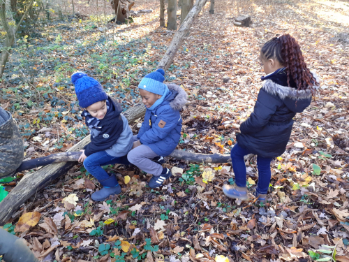 2020-12-Balade-Automne-004