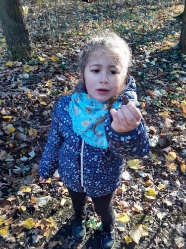 2020-12-Balade-Automne-007