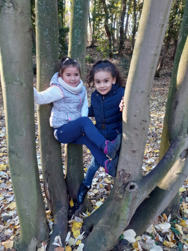 2020-12-Balade-Automne-010