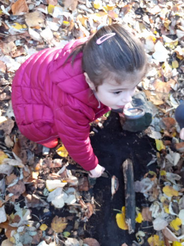2020-12-Balade-Automne-014