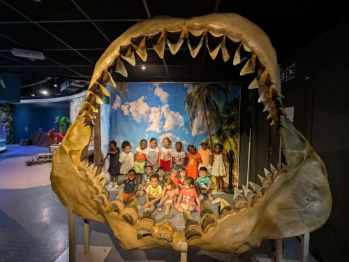 2025-06-Aquarium-004